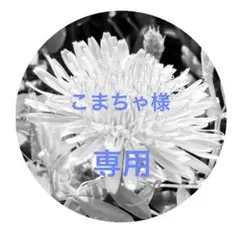 ★バスタオル卒業宣言　2枚セット　おぼろタオル/ミニバスタオル　日本製