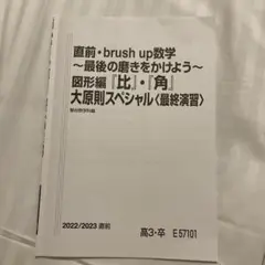 駿台文庫　必修物理　上下セット 大学入試 必修物理 上・下 セット