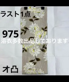 Item thumbnail for item 53ca6c9e-d5aa-4413-b171-85d034361a4f