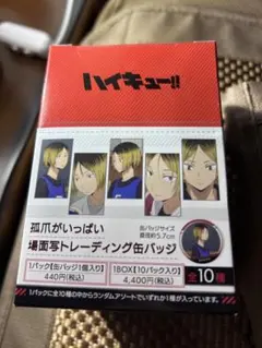 ハイキュー 孤爪がいっぱい場面写トレーディング缶バッジ 未開封