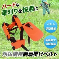 Item thumbnail for item 79606e04-089f-4f06-b140-da32374a961e