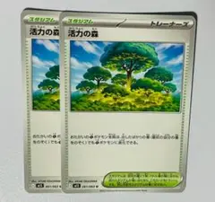 ポケモンカード 活力の森 2枚セット