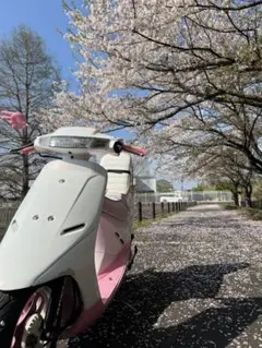 SEASTYLE製/スーパータクト/クレタク他/ファストチャンバー/新品/ SEASTYLE製/スーパータクト/クレタク他/ファストチャンバー/新品