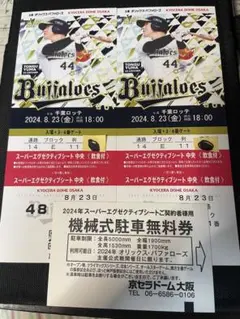 スーパーエグゼクティブシートペアチケット(8/16) 8/16 京セラドーム オリックスVS西武 スーパーエグゼクティブ