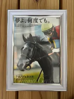 クロノジェネシス JRA 競馬 写真 額縁セット　ポスター