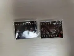 SEKAI NO OWARI the secret house キーホルダー
