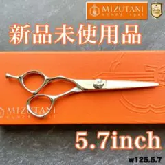 Item thumbnail for item b775e69c-7184-4826-a30b-f18823359051