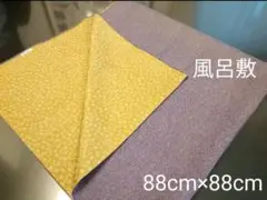 Item thumbnail for item cadf0a43-70d4-47cc-88ca-ea38f09d7788