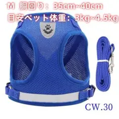 Item thumbnail for item 17218b34-08b8-42f8-b54a-dd49aca0fbe9