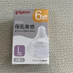 pigeon ピジョン　母乳実感　L 2個