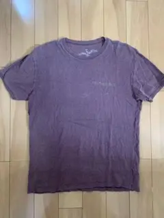 CHARIZMATIC TRUTHSEEKER Tシャツ S