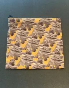 メキシコ展　フラットポーチ　ポーチ