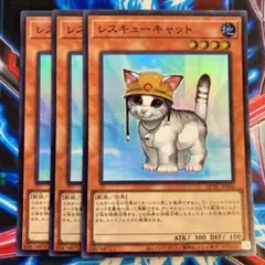 遊戯王 レスキューキャット スーパー3枚