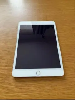 Apple iPad mini4 16GB