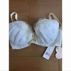 ブラジャー F65