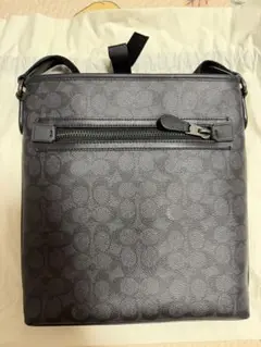 Item thumbnail for item 62953fbf-4ece-4307-905b-1a2998c26999