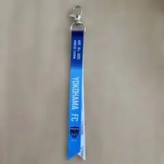 ヴィッセル神戸 vs横浜fc戦　ボンフィンのみ
