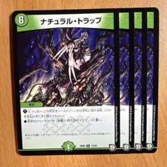 0936 ナチュラルトラップ