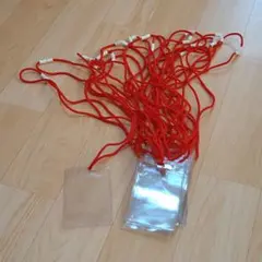【送料無料】パスケース✕17