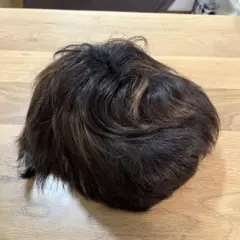 Item thumbnail for item 9b796bb7-6066-4568-9c43-79f99a2c8b33