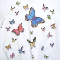 蝶々アゲハ蝶 虫 図鑑 バタフライ 90s USA製 Tシャツ