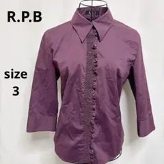 Item thumbnail for item 58d2c3ef-d799-42fb-8e79-b37b6cc18380