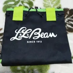 L.L.Bean 一人用レジャーシートu0026ラップバッグ