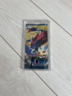 【未開封】 ポケモンカードゲーム BW ダークラッシュ キャンペーンパック 未開封】 ポケモンカードゲーム BW ダークラッシュ キャンペーン