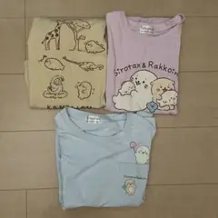 しろたん　Tシャツ　ダメージ有り