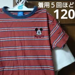 ミッキーマウスボーダー Tシャツ赤×紺120デビロック好きに