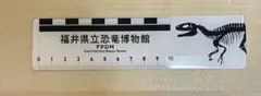 Item thumbnail for item 34010cc7-eb5e-4676-8491-3ef23e20bb05