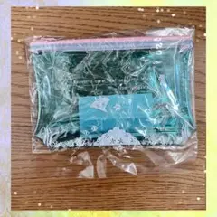 ポーチ　沖縄　石垣島　透明　クリア　クリアケース