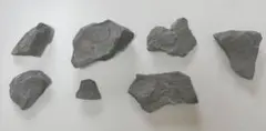 Item thumbnail for item 345670a5-8776-40e6-9a8c-048ca88267c3
