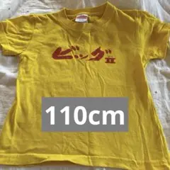 ❣️即購入OK❣️子ども用 ビックIITシャツ 奄美大島 110センチ