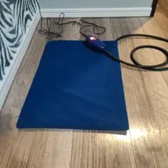 Item thumbnail for item 8209d38f-489c-4a16-bc68-796f5ba8163a