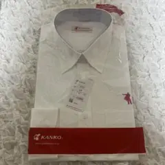 Item thumbnail for item 93f06610-961d-41e4-95b2-0bfd38ee2199