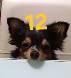 専用❗2点おまとめ