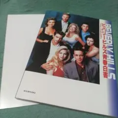 BEVERLY HILLS 90210 写真集　ポスター付