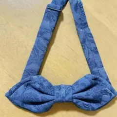 Item thumbnail for item 19b18d15-5a63-41b8-a89b-233c73b6c258