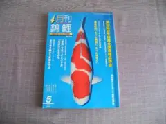 鱗光 月刊錦鯉 日鱗 52冊セット まとめ売り 錦鯉 鱗光 2024年02月15日発売号 | 雑誌/定期購読の予約はFujisan