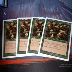 MTG 日本語 4枚セット 花盛りの春　7ed