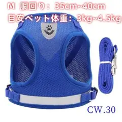 Item thumbnail for item ae2c33d6-841c-4804-a83b-e0bc44d484ca