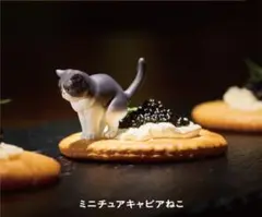 ミニチュアねこ キャビアねこ