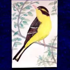 黄色鳥さんB　色鉛筆画　ハガキサイズ