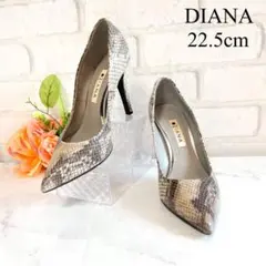 【極美品✨】DIANA パイソン 型押し ポインテッドトゥ ピンヒール