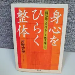 武術と呼吸　DVD 河野智聖　武術と整体の融合　呼吸で、身体を気体化する DVD 河野智聖 武術と呼吸