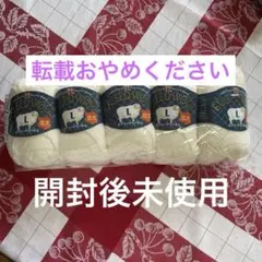 ハマナカ　エグシードウール Ｌ　並太　ホワイト　◆未使用