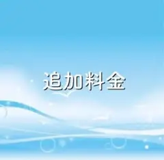 追加料金