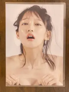 高画質　A４サイズ　吉岡里帆⑤ ポスター