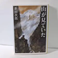 ★最終値下げ★山が見ていた 新田次郎 文春文庫